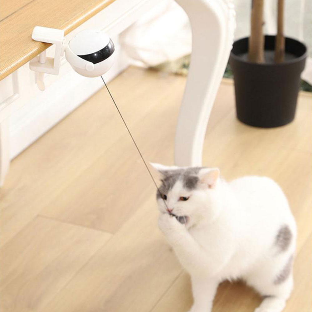 Pets Automatic Lifting Ball