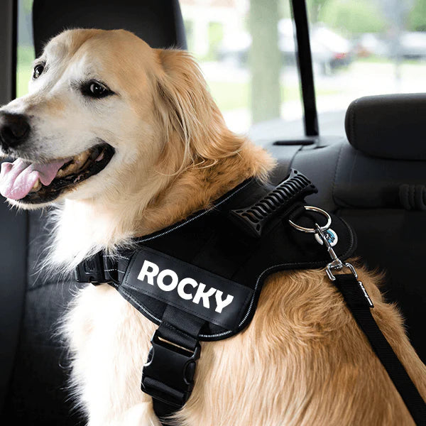 Pets Adjustable Dog Safety Seat Belt