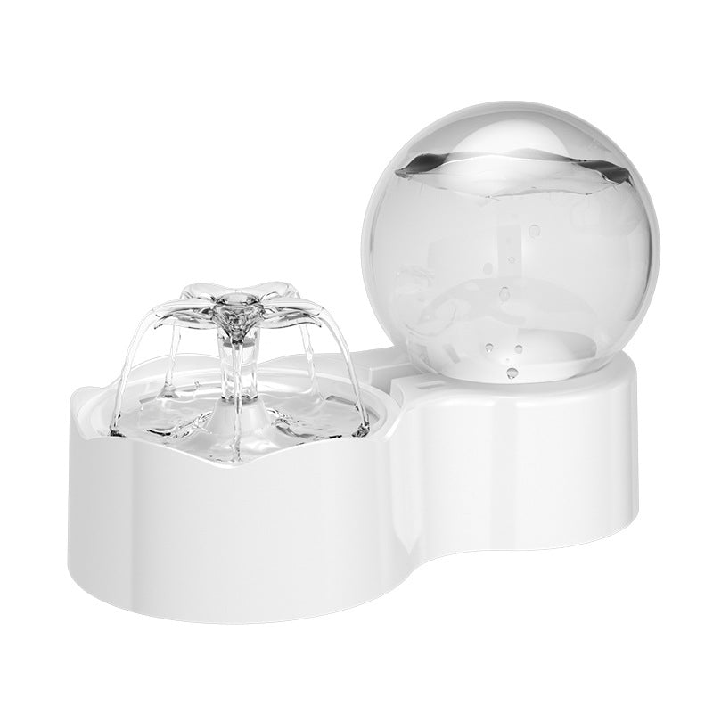 Pets Cats and Dogs Bowl