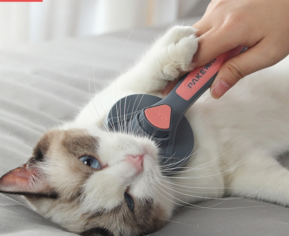 Pets Self Cleaning Grooming Pet Brush