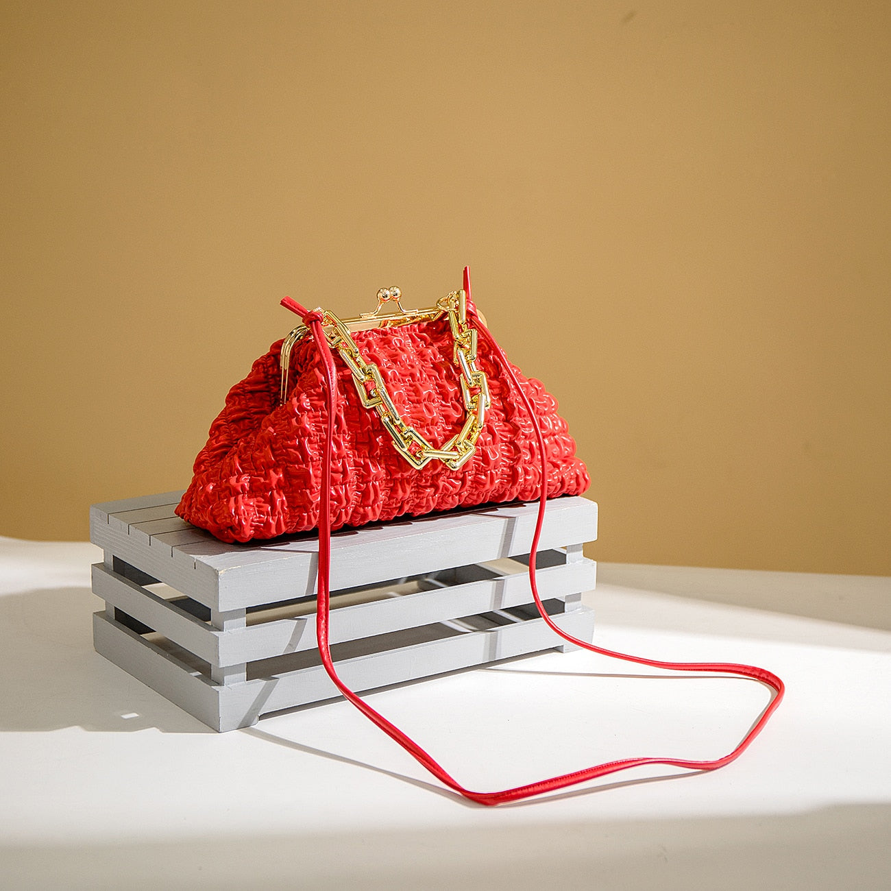 Women's Pleated Handbags