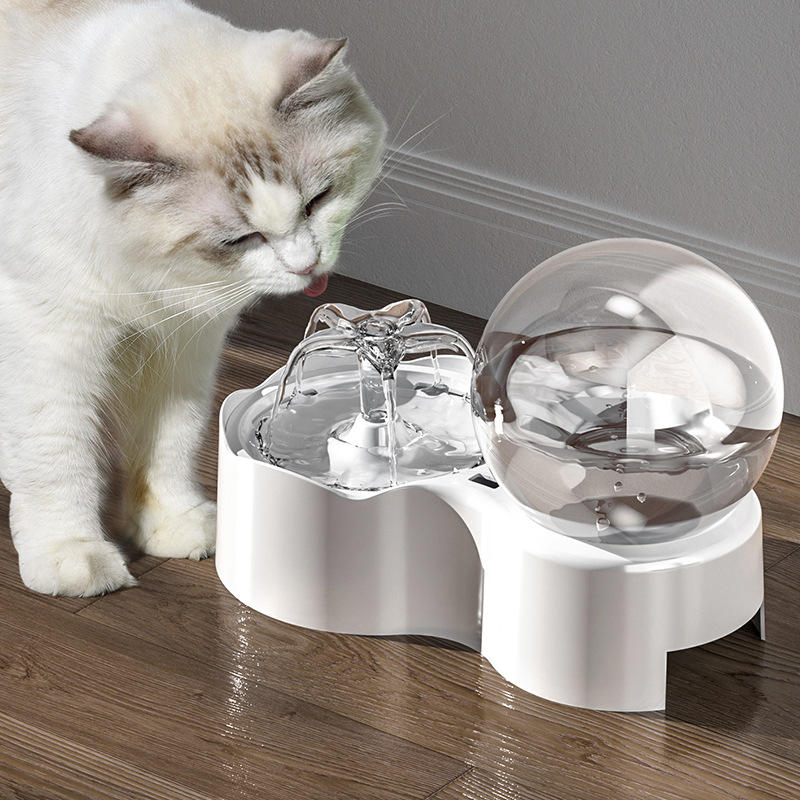 Pets Cats and Dogs Bowl