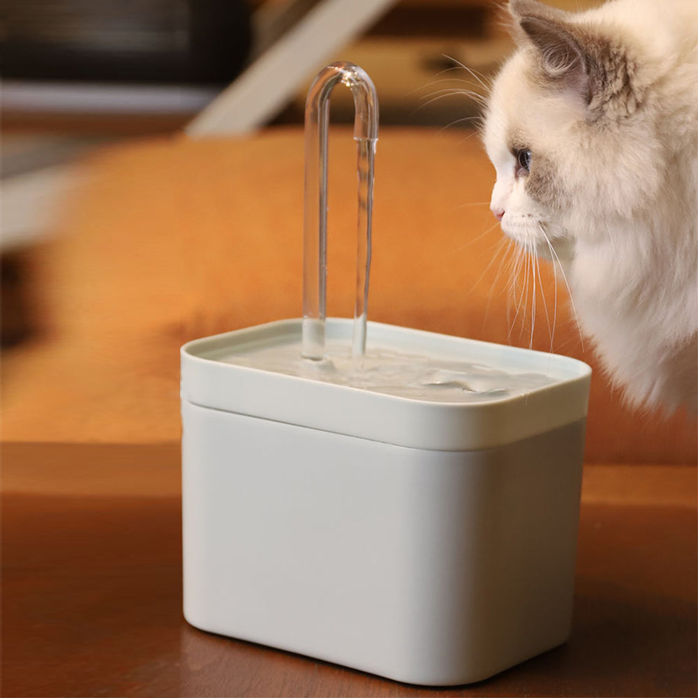 Pets Water Dispenser