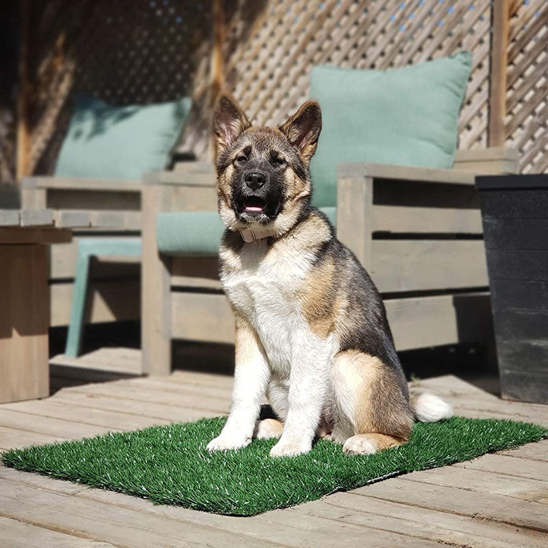 Pets Pup Patches