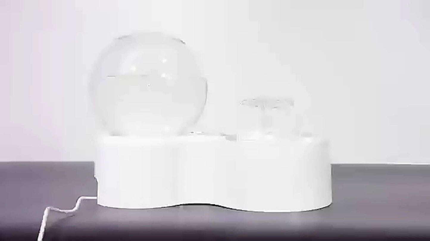 Pets Cats and Dogs Bowl