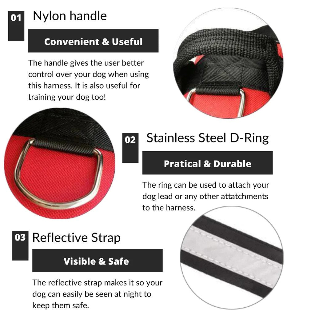 Pets Safety Harness