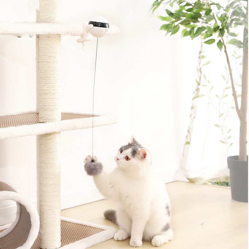 Pets Automatic Lifting Ball
