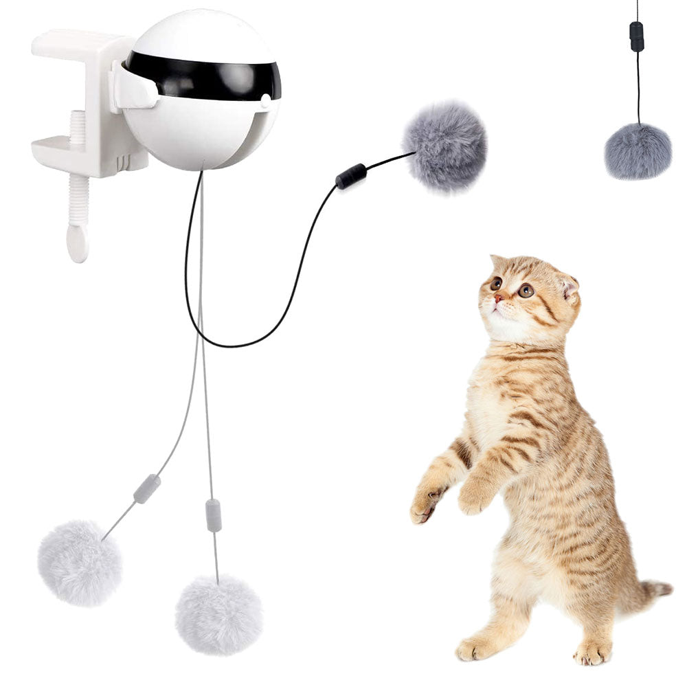 Pets Automatic Lifting Ball