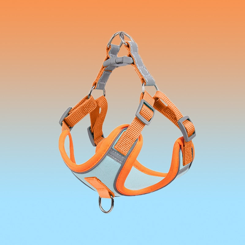Pets Dog Harness for Small Dogs Cats Reflective Pet Chest Vest Leash Adjustable Breathable Pet Harness And Leash Set Dog Accessories