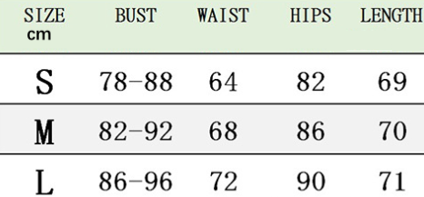 Woman's clothing Gradient Mesh Mini Dress