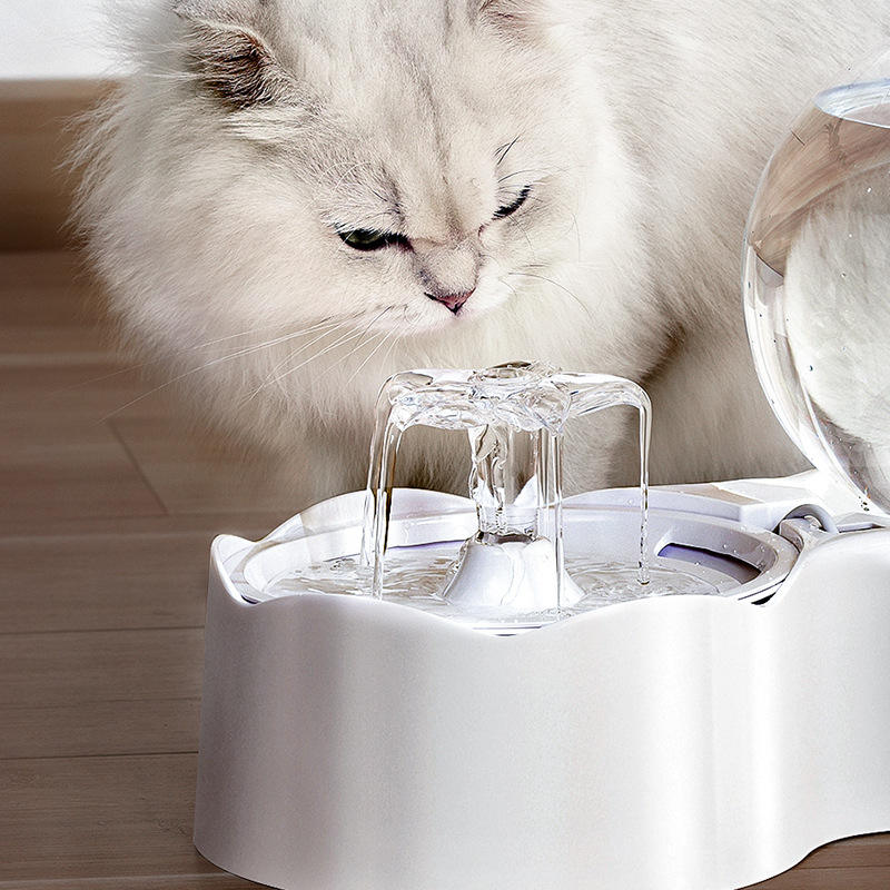 Pets Cats and Dogs Bowl