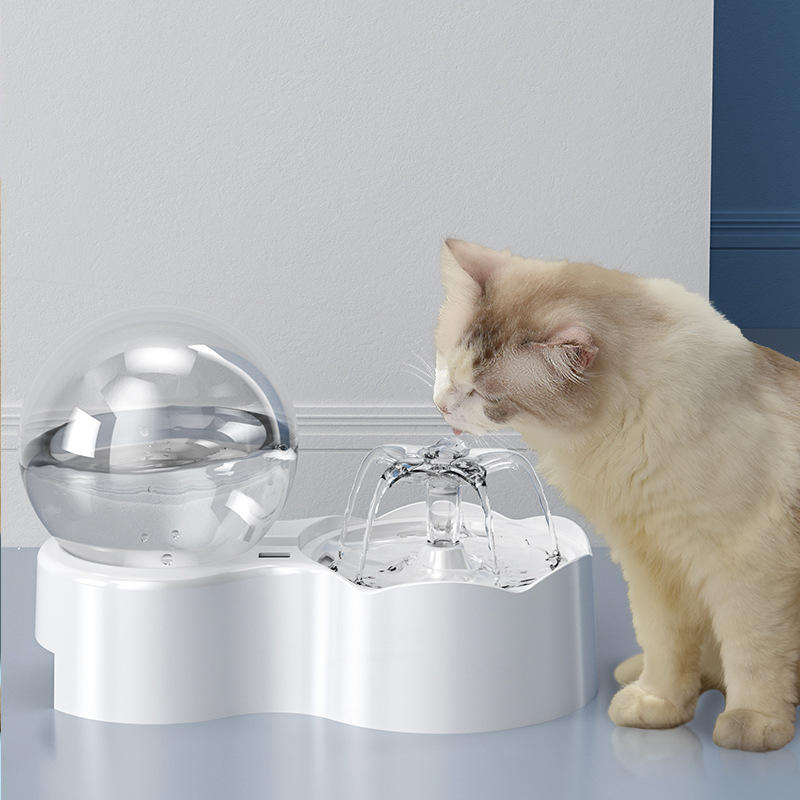 Pets Cats and Dogs Bowl