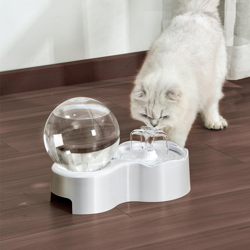 Pets Cats and Dogs Bowl