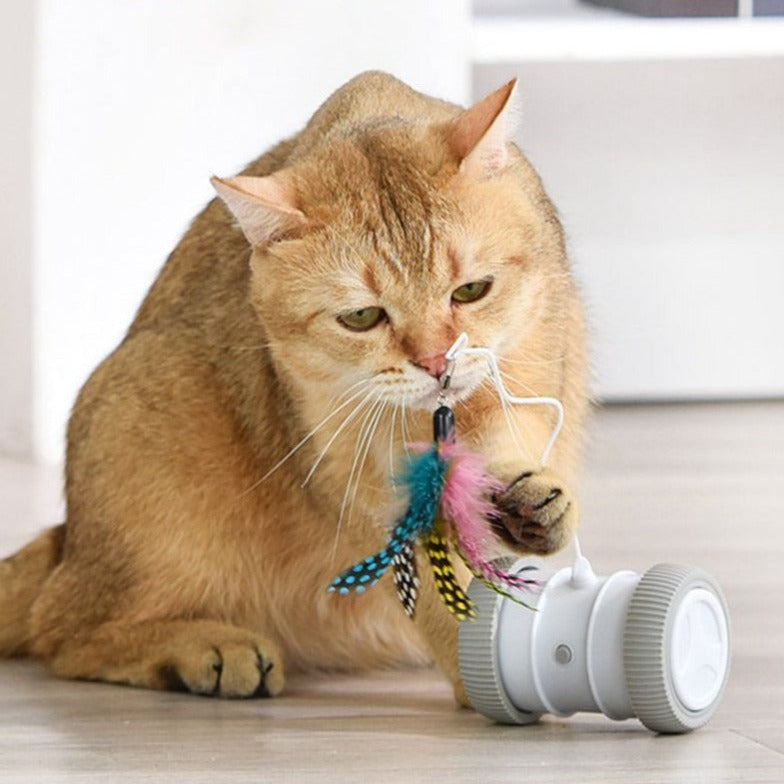 Pets Smart Runaway Cat Toy